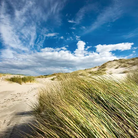 Appartamento Appartementhaus Bracht - Moewe *