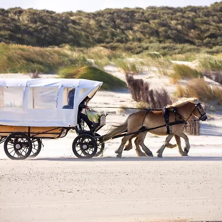 Appartementhaus Bracht - Moewe *